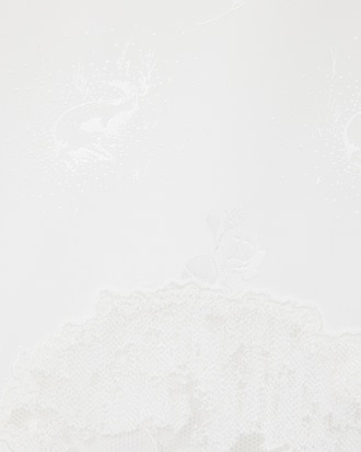 Falda de tul con bordado de paisaje Runway