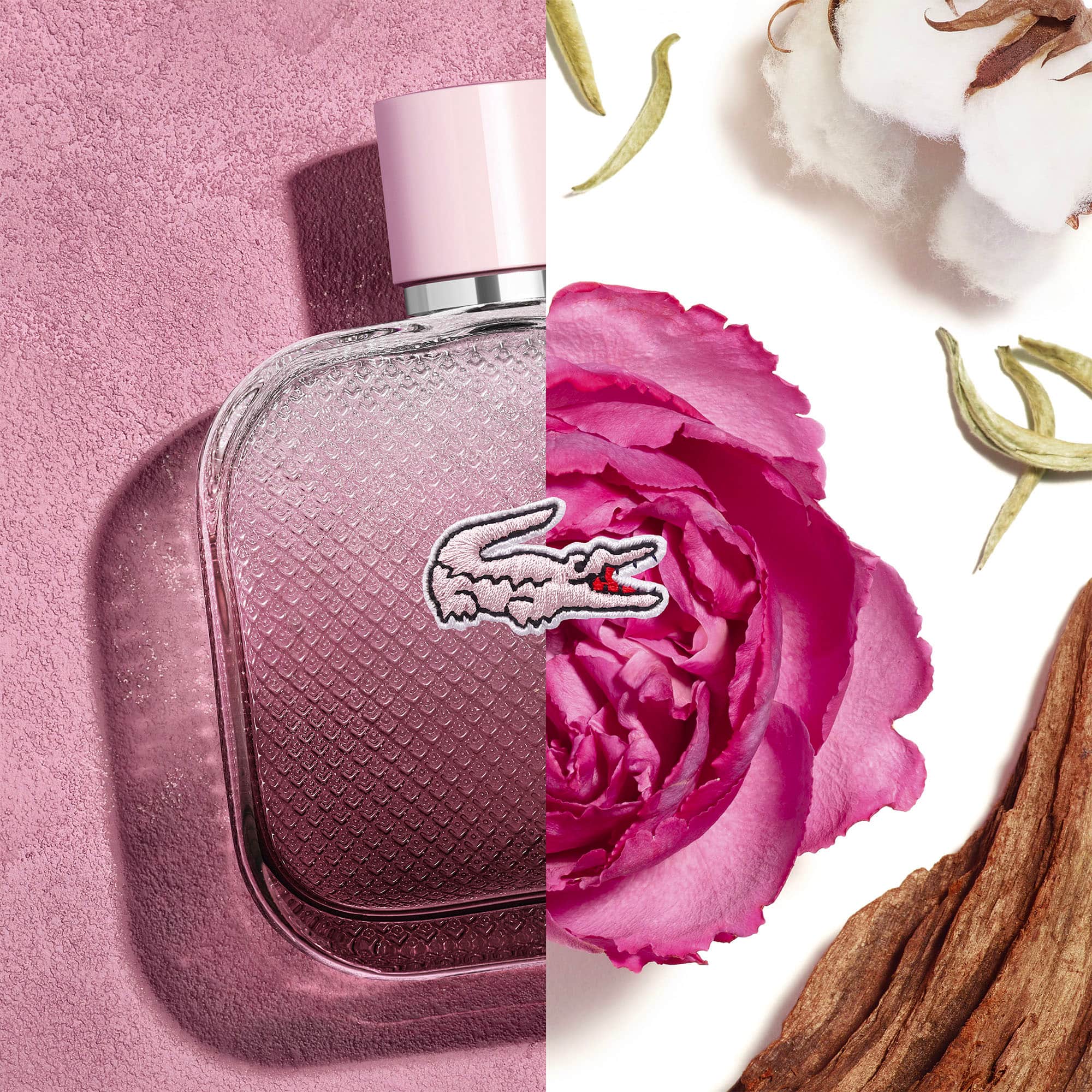 lacoste perfume dama