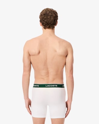 Pack de 3 calzoncillos de algodón elástico