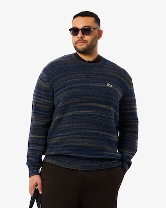 Pull ray&eacute; laine alpaga