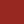 Blanc / Marron / Marron Clair