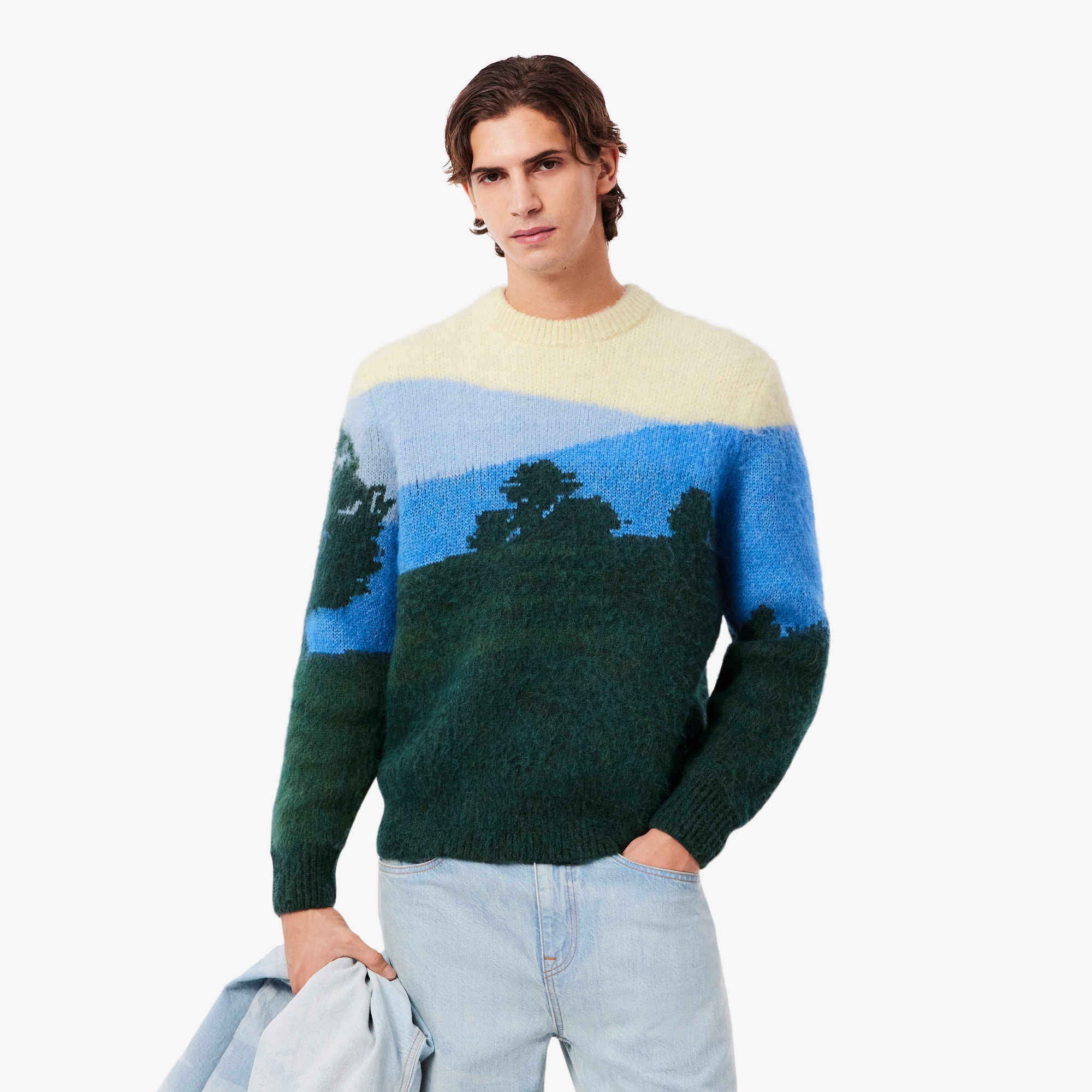 Pull jacquard paysage en laine alpaga