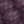 Nightshade