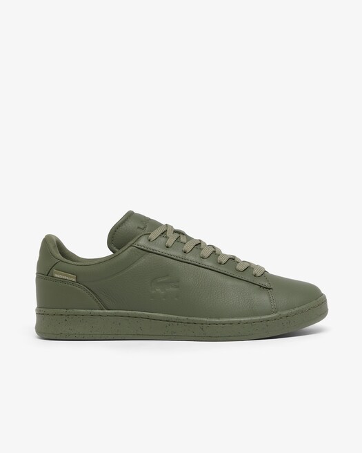 Kaki