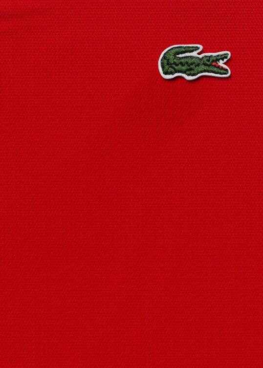 polo lacoste logo
