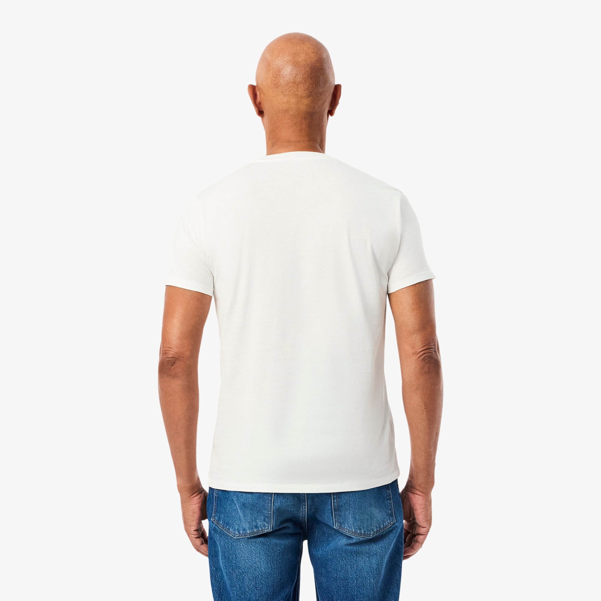 Cotton Pima T-shirt - Men's t-shirts - New In 2025 | Lacoste