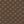 Morel