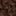 Brown Black