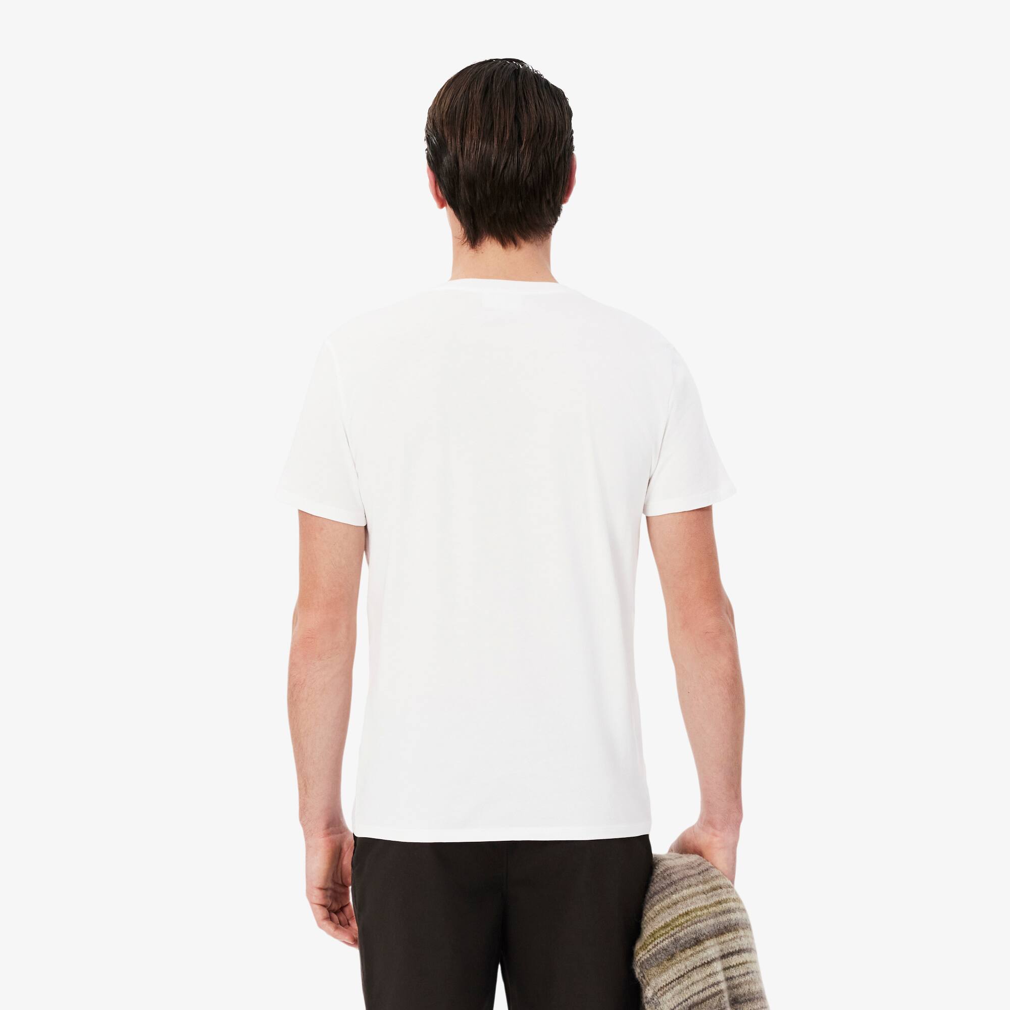 lacoste men's v-neck striped t-shirt