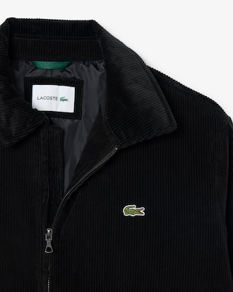 Padded Corduroy Bomber Jacket