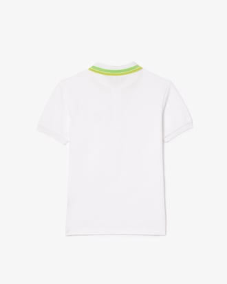 Stripe Collar Petit Piqué Polo Shirt