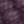 Nightshade