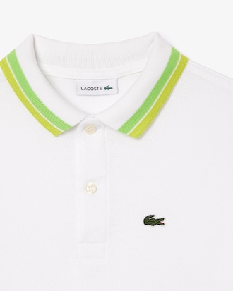 Stripe Collar Petit Piqué Polo Shirt