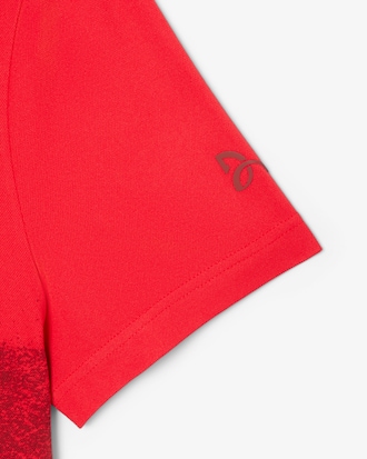 Lacoste Tennis x Novak Djokovic Polo Shirt