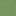 Green / White / Navy Blue