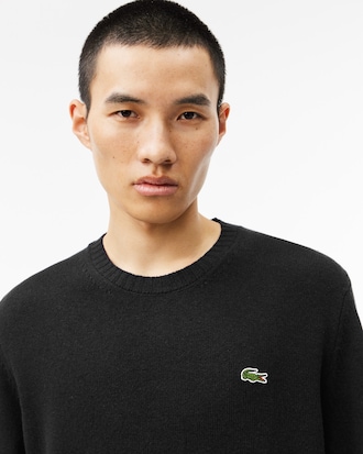 Carded Wool Crew Neck Sweater