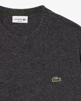 Wool Crew Neck Sweater