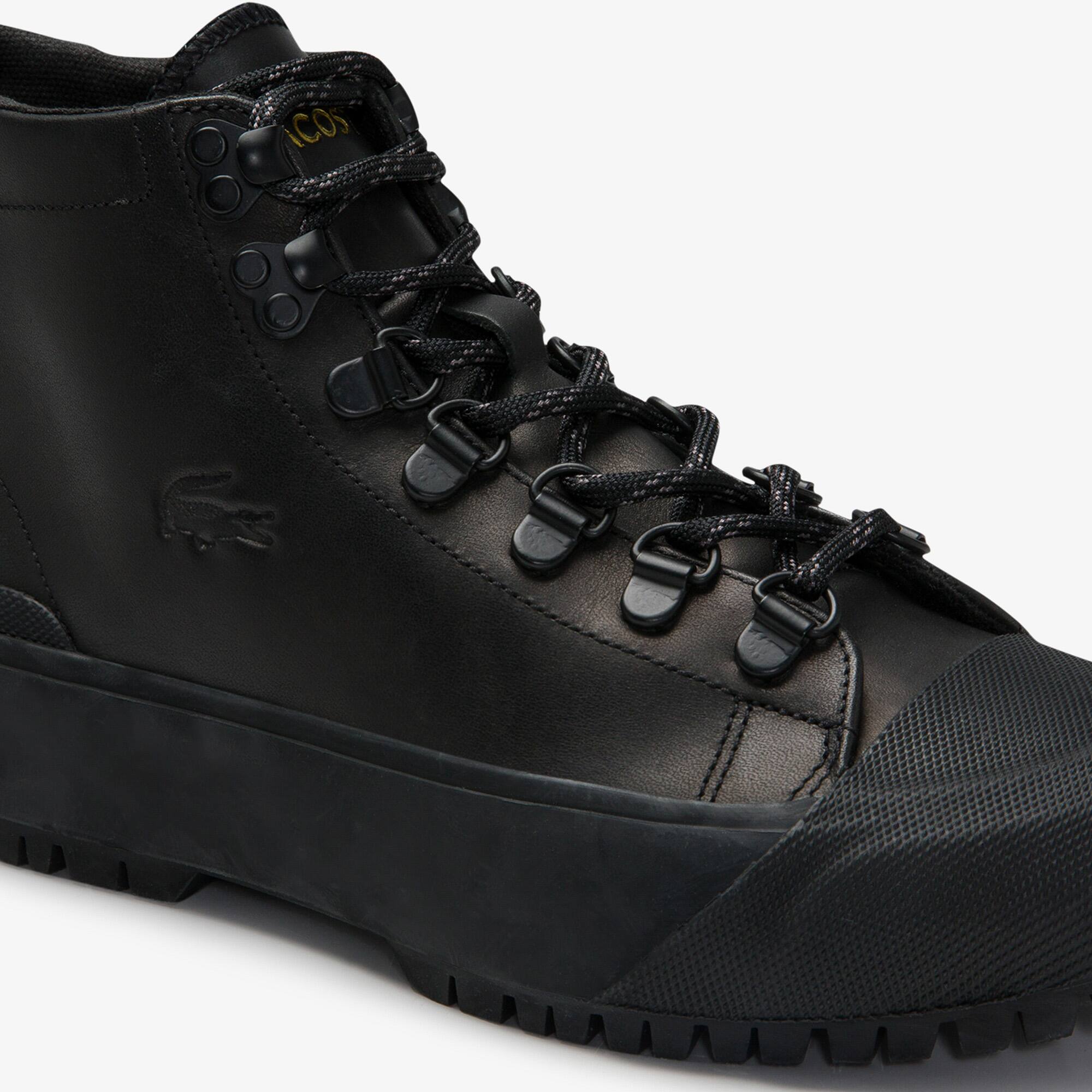 lacoste winter collection