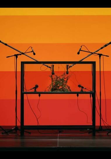 Sónar Festival: Lacoste on the dance floor