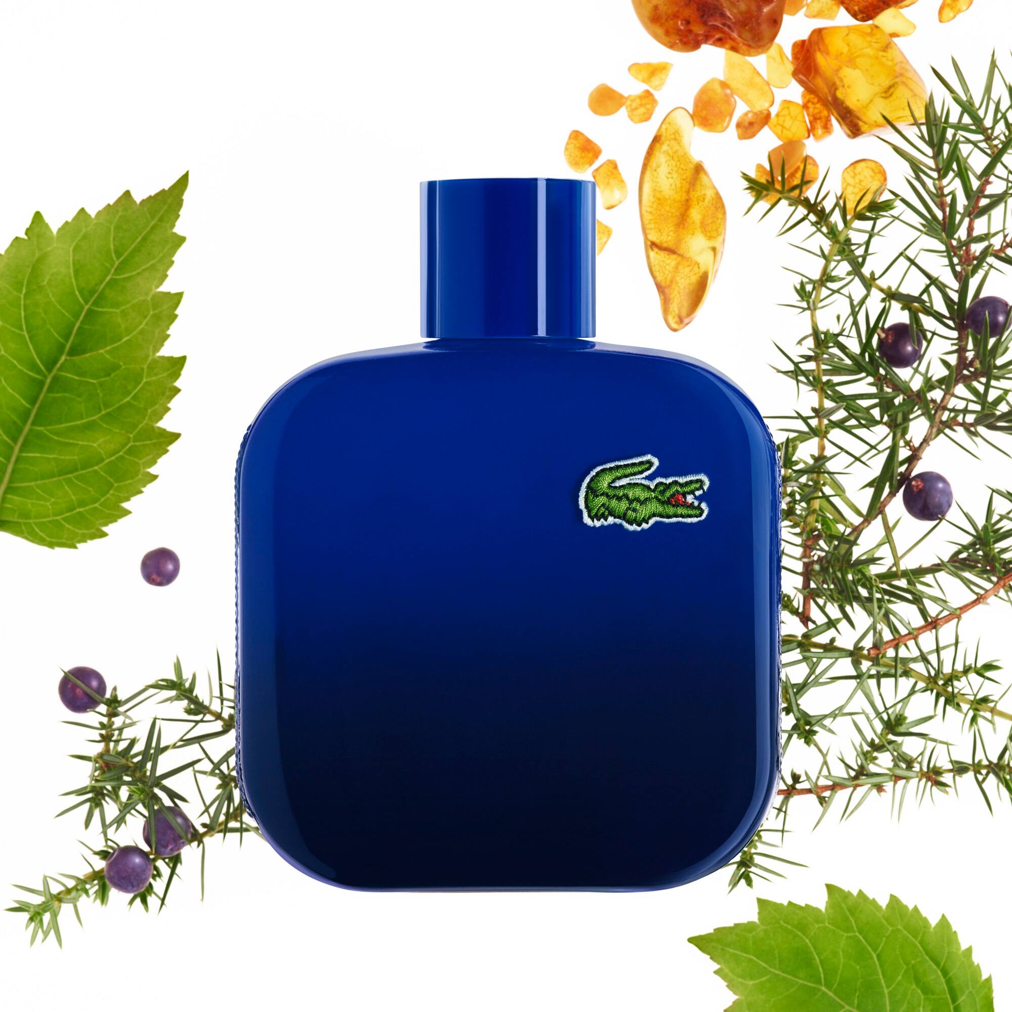 lacoste 12.12 magnetic