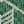 Green / Beige