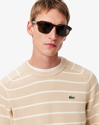 Striped Cotton Crew Neck Sweater