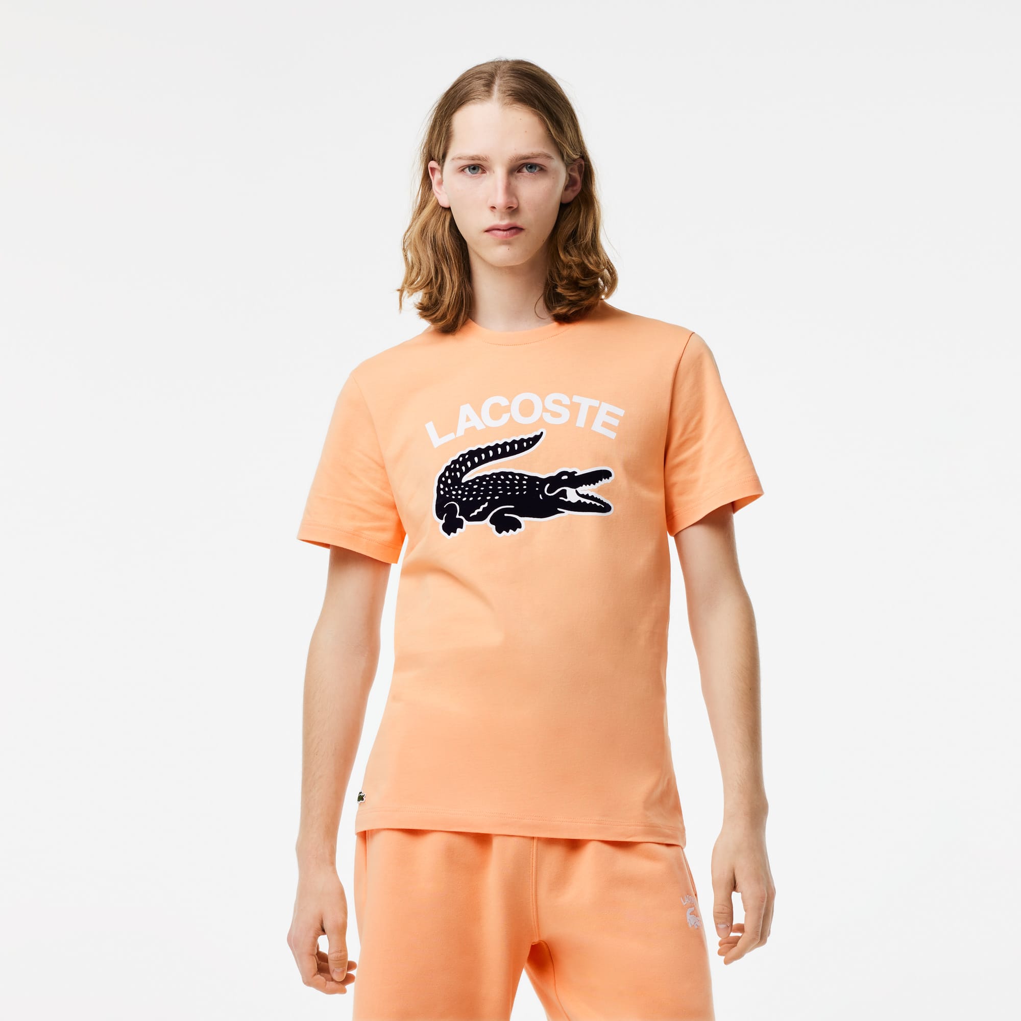 T shirt shop orange lacoste