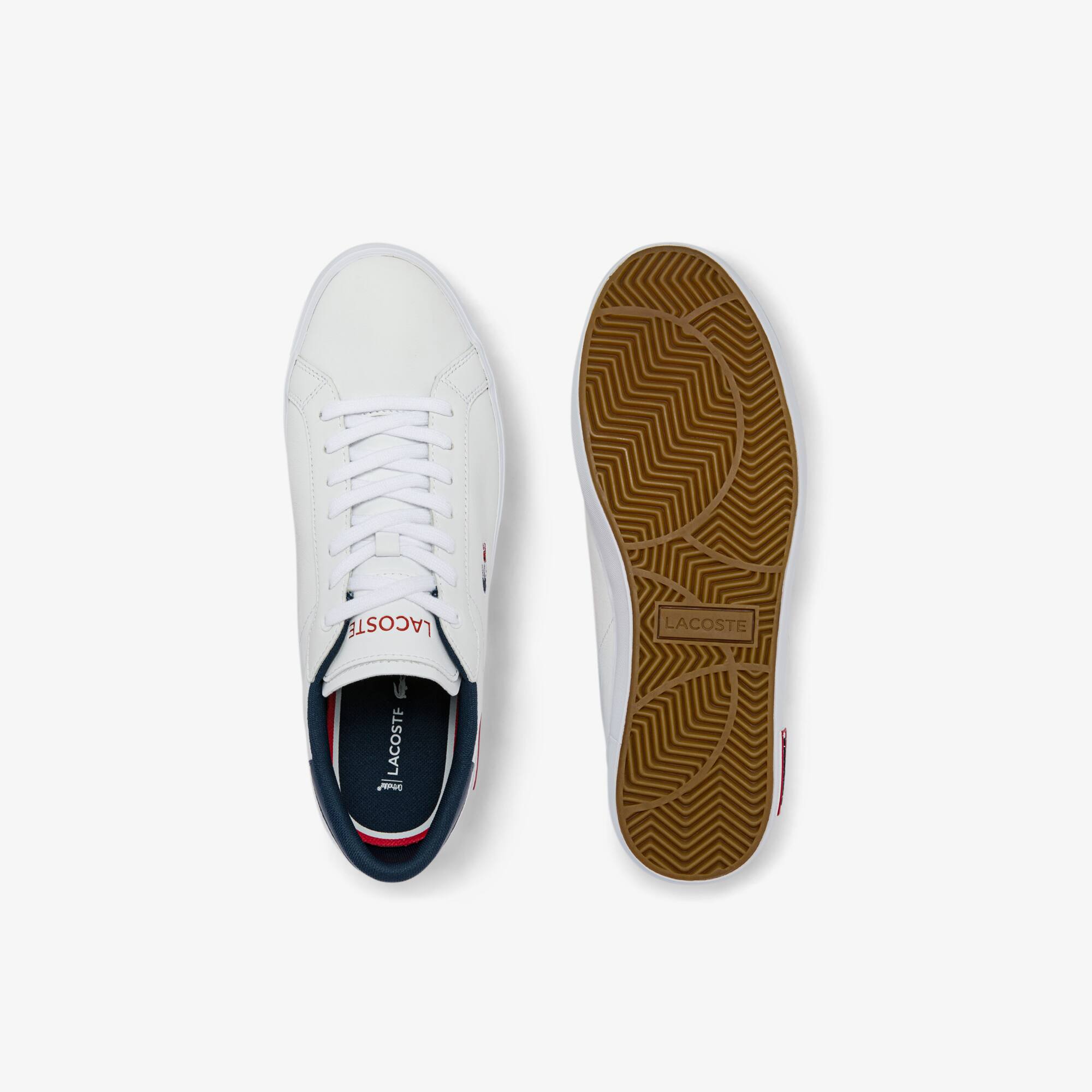 Ortholite lacoste shoes online