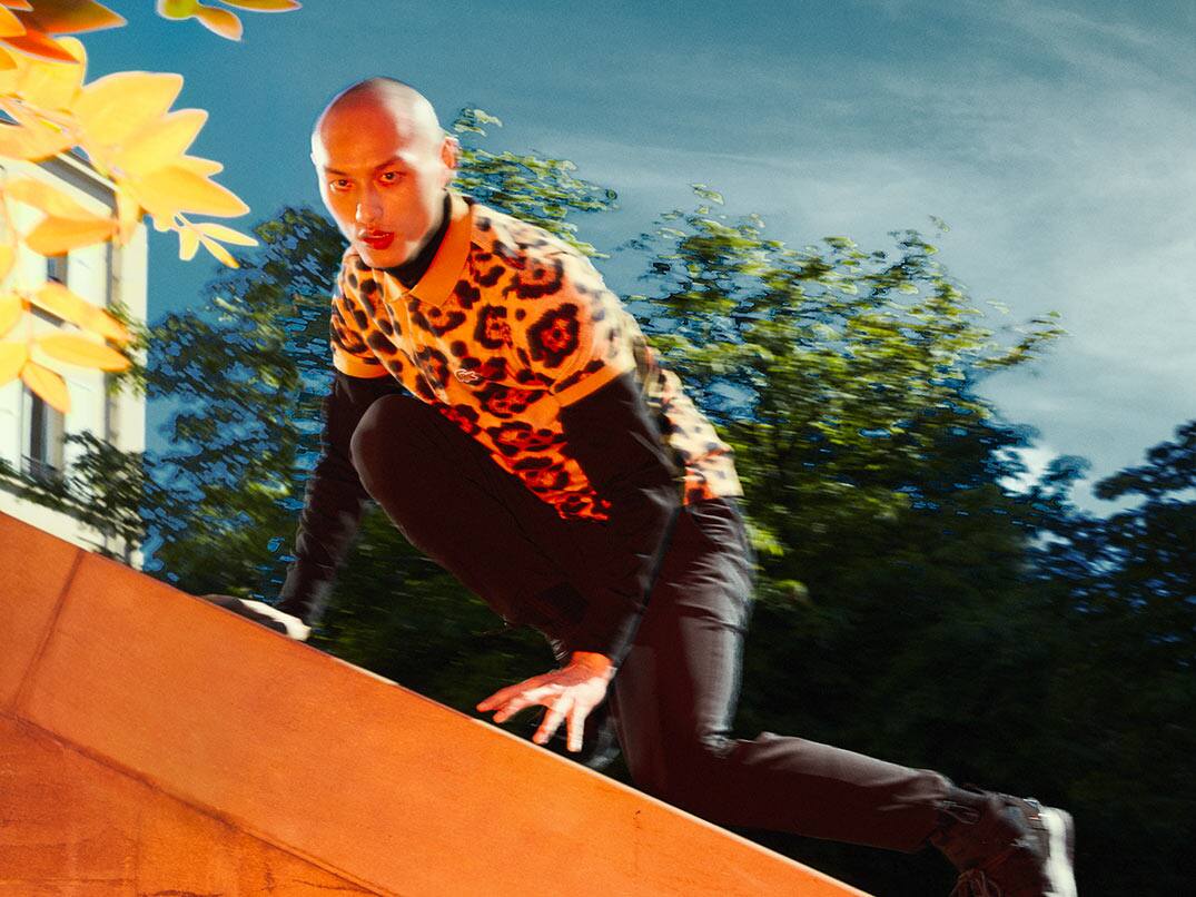 Die Eleganz des Jaguars