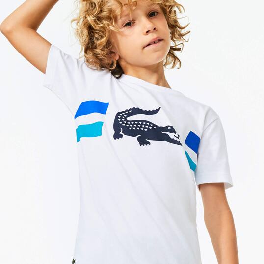 lacoste t shirt sport