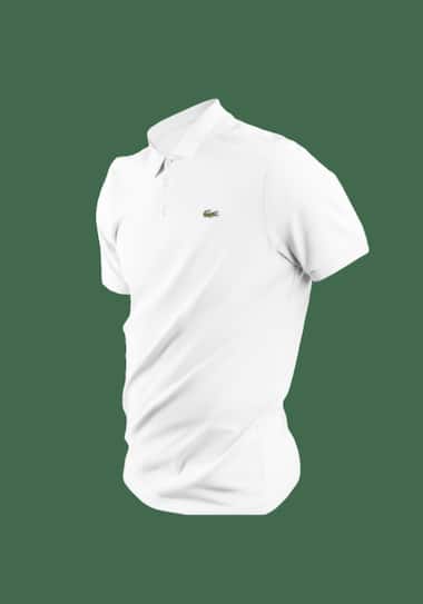 polo 3D