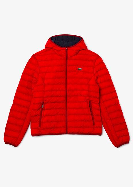 lacoste bubble coat