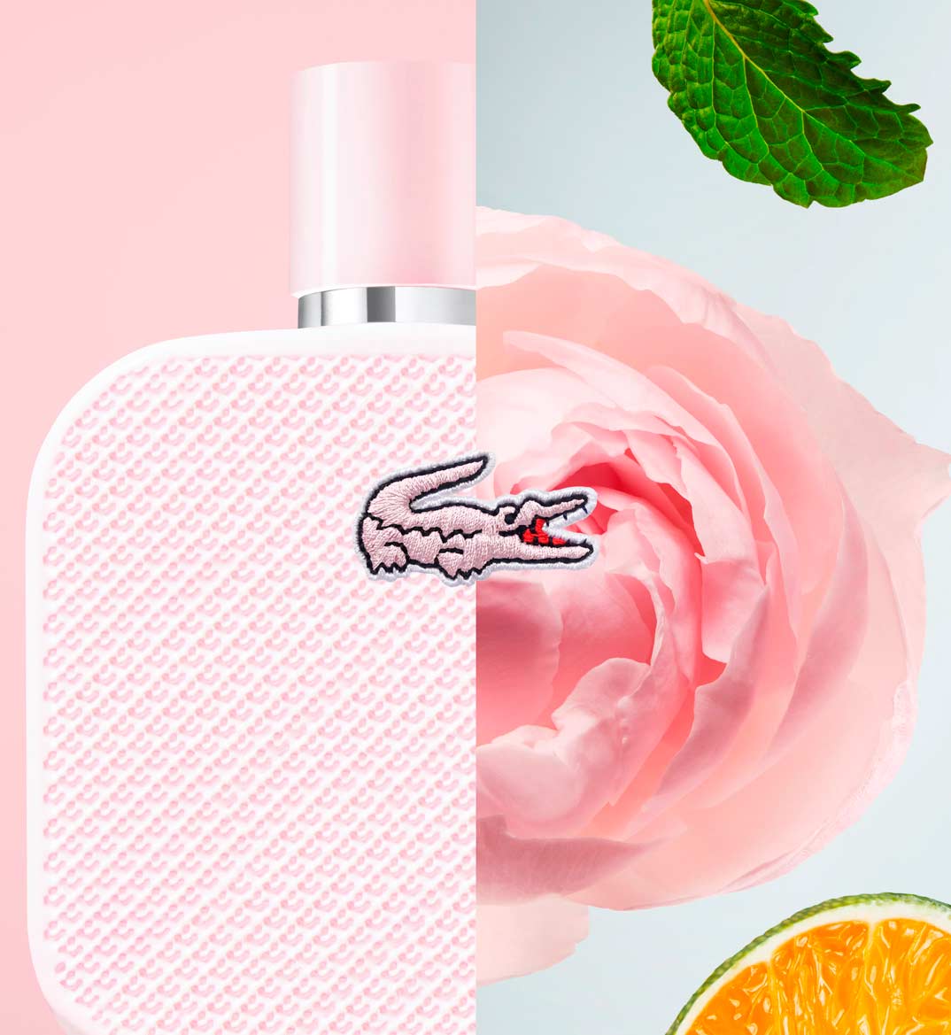 parfum lacoste rose pour femme