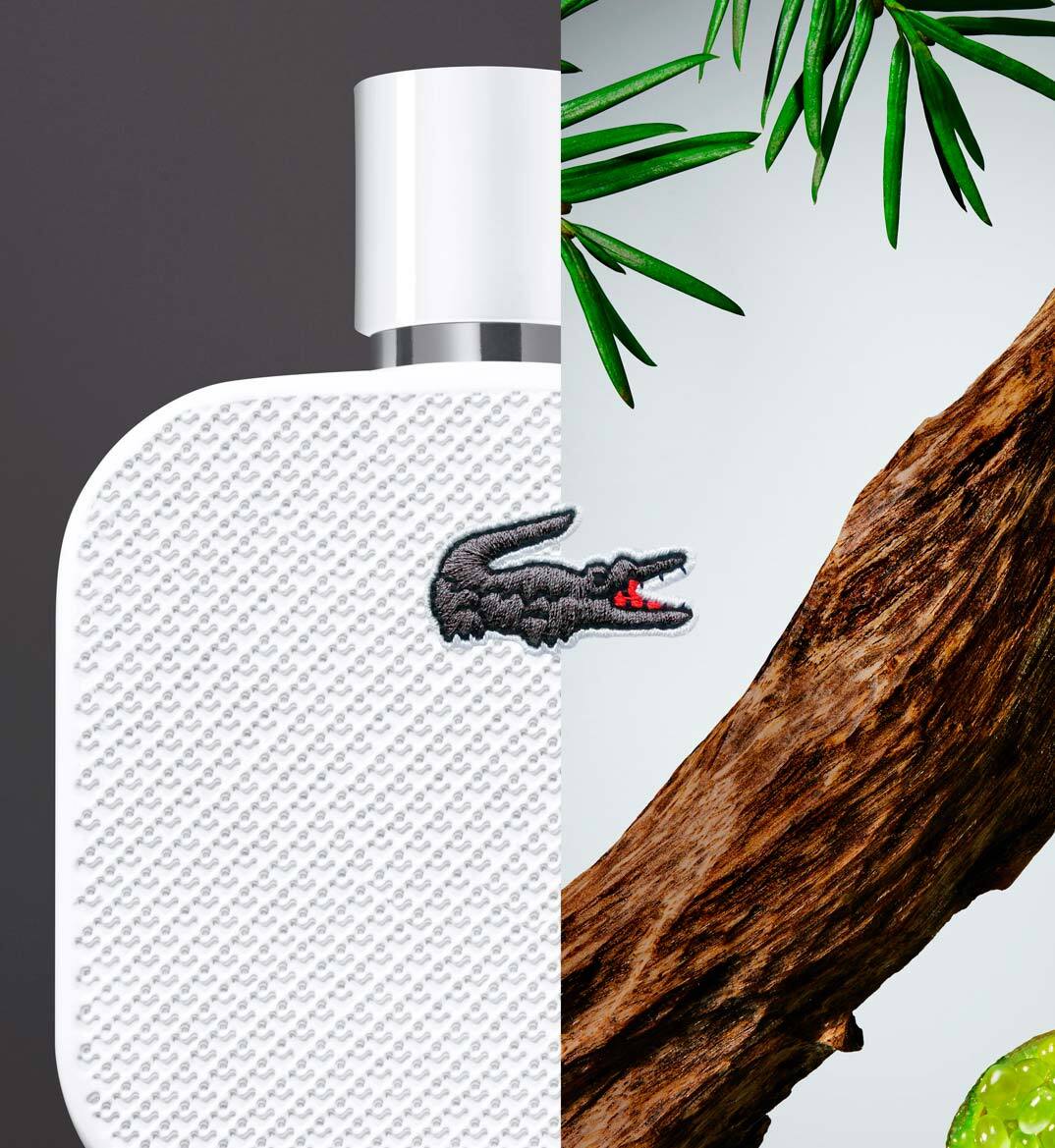 lacoste blanc parfum