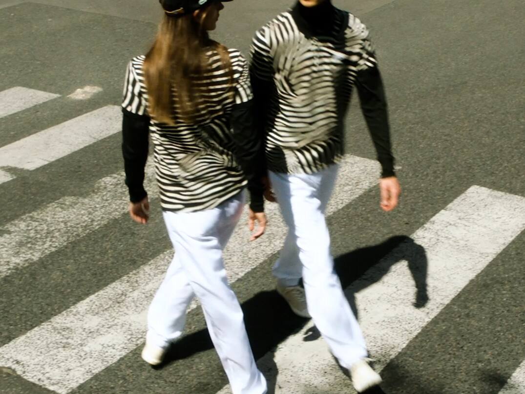 La singularit&eacute; du z&egrave;bre de Gr&eacute;vy