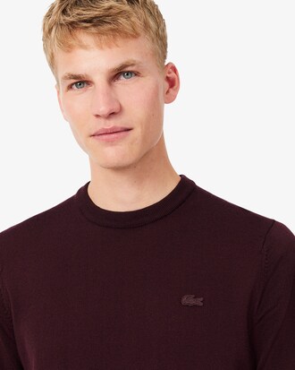 Pullover aus Merinowolle mit Rundhalsausschnitt