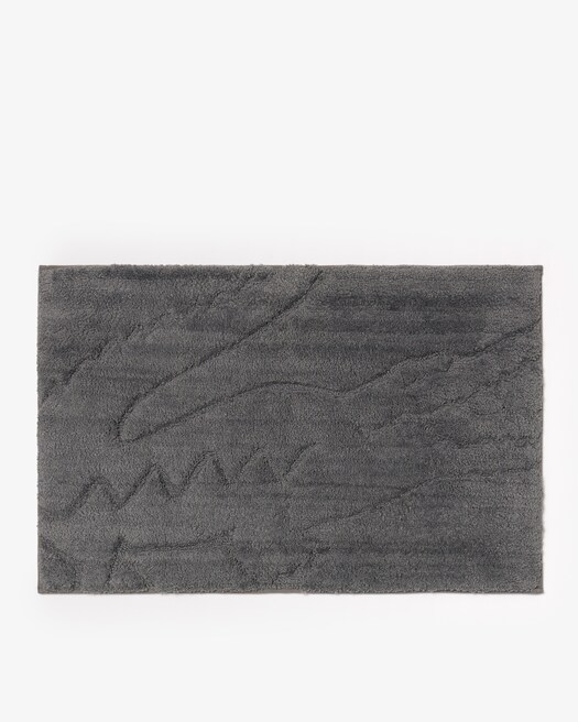 METEORITE