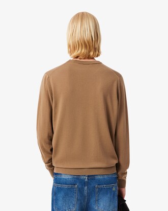 Pullover aus Merinowolle mit Rundhalsausschnitt