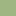 BLK/LT GRN