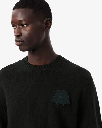 Pullover aus Wolljersey mit gesticktem Wappen
