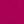 Rose Fushia