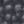 ABIMES PETUNIA