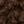 BROWN NOIR