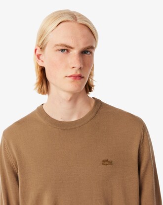 Pullover aus Merinowolle mit Rundhalsausschnitt