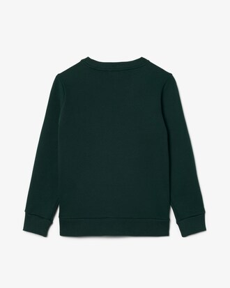 Sweatshirt aus Fleece mit Logostreifen