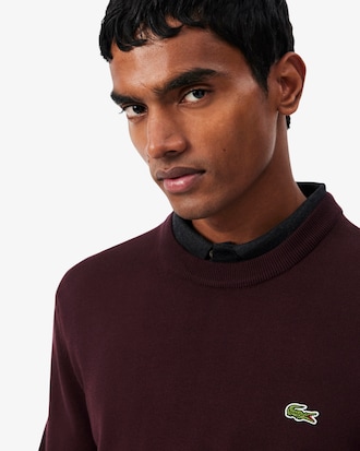 Einfarbiger Pullover aus Baumwolle mit Rundhalsausschnitt
