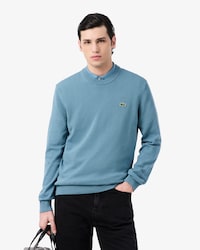 Einfarbiger Pullover aus Baumwolle mit Rundhalsausschnitt