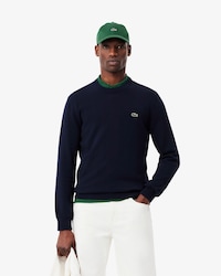 Einfarbiger Pullover aus Baumwolle mit Rundhalsausschnitt