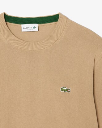 Einfarbiger Pullover aus Baumwolle mit Rundhalsausschnitt