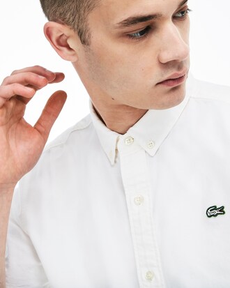 Herren-Bluse aus Oxford-Baumwolle LACOSTE L!VE